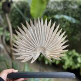 Rustic White Palm Leaf Tabletop Accent