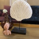 Rustic White Coral Shell Tabletop Accent - Image 3