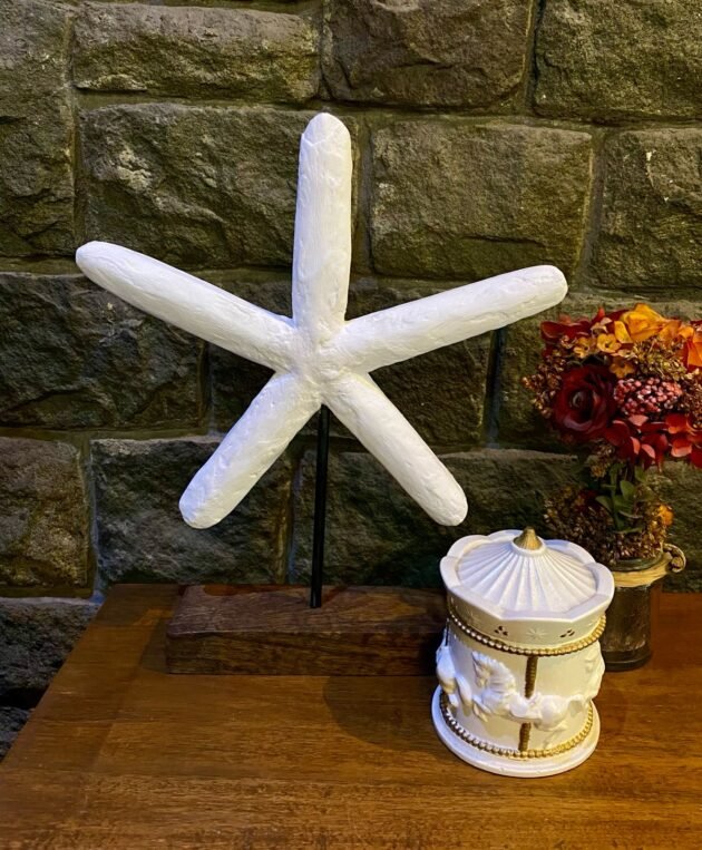 Starfish Wonder - Image 3
